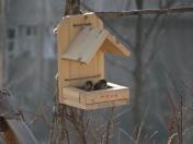 참새 목록사진