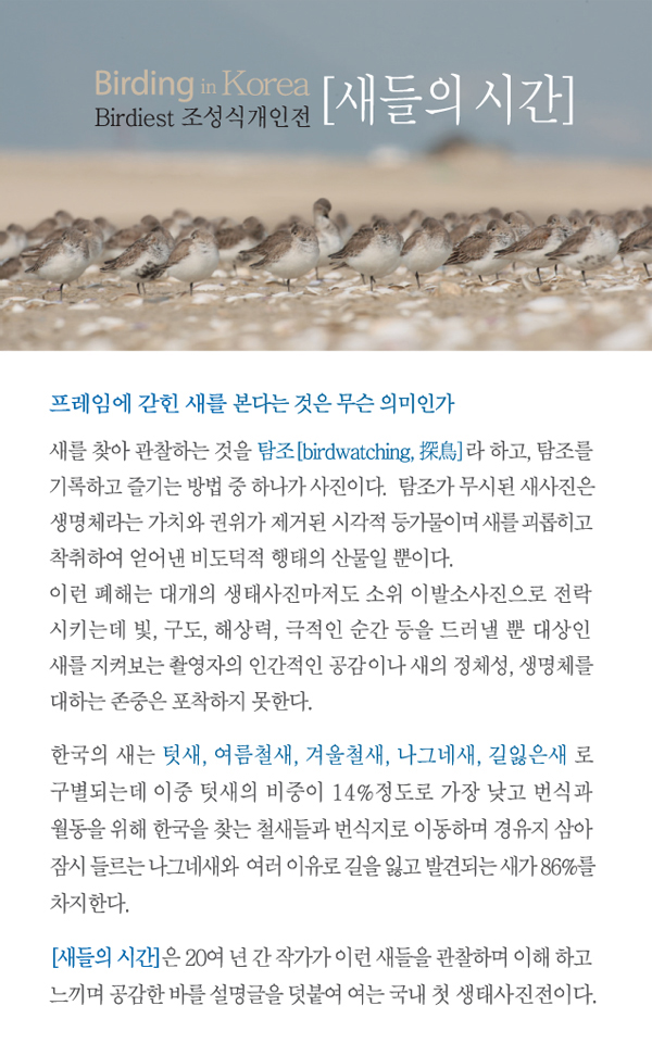 기획전시 안내