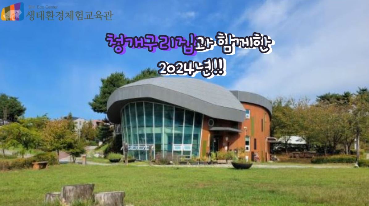 [영상] 청개구리집과 함께한 2024년!!
