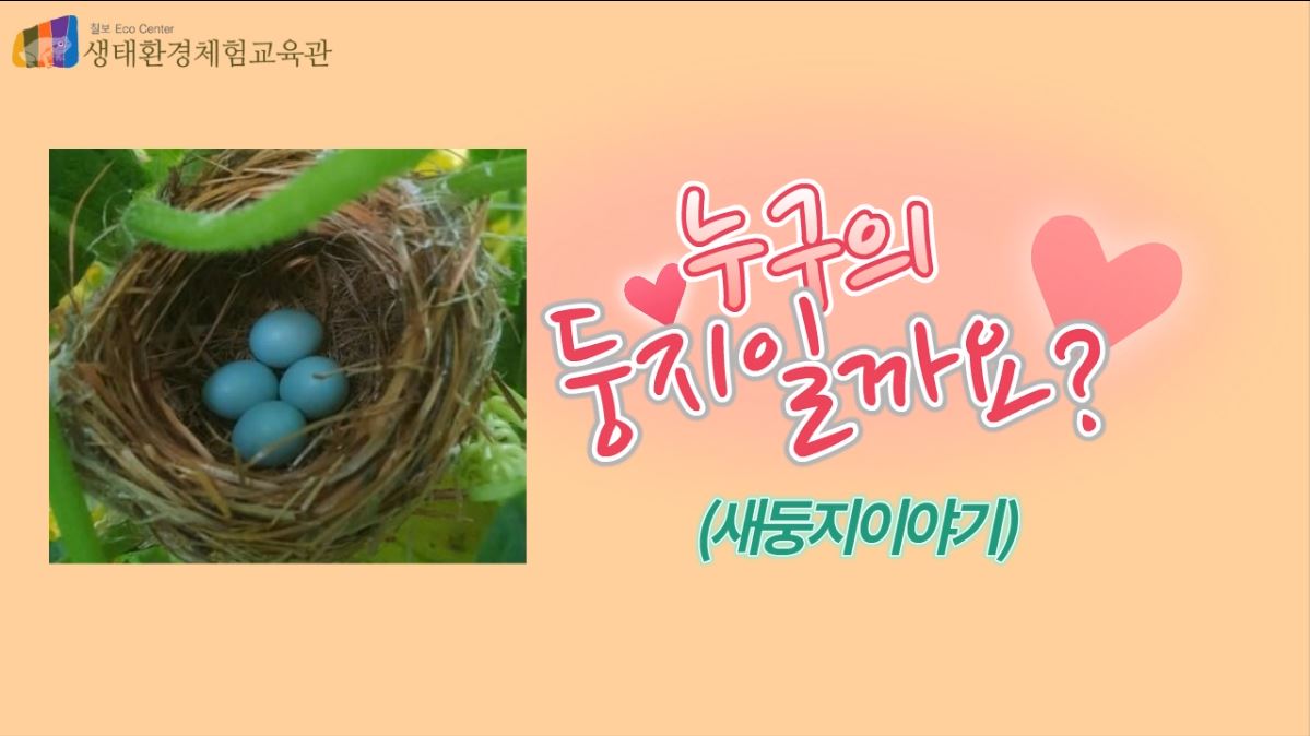 [영상] 누구의 둥지일까요?