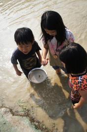 2015년 개구리논 모내기 행사_15_20150530 목록사진