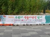 2020 수원시 생물다양성 탐사 목록사진