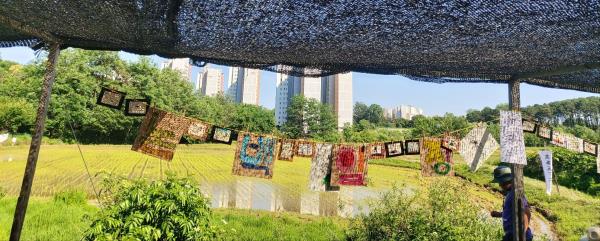 칠보산 개구리논 모내기 (6/3)