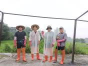 우중 김매기 목록사진