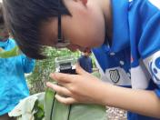 숲속방과후교실_목요일_20150514 목록사진