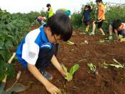 숲속방과후교실_목요일_20150903 목록사진